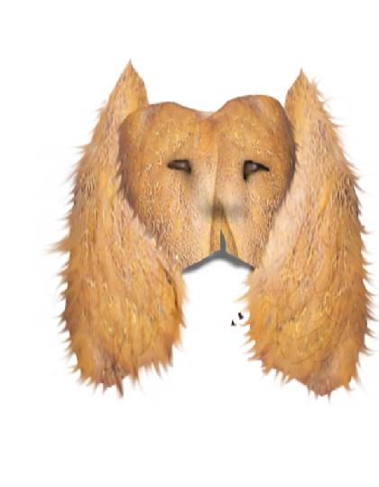 Creation of Lion: Step 6